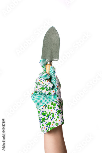 Fotografia, Obraz Hand in garden gloves holding gardening tool