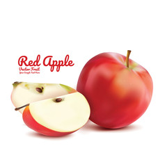 Wall Mural - Red apple and slice isolated. fruits vector illustration. Modern style realistic