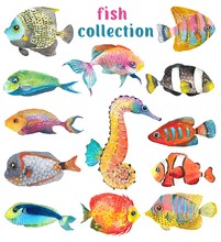 Watercolor Sea Life, Fish, Sea Horse, Beautiful Collection