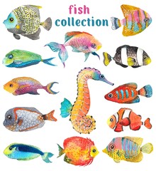 Watercolor Sea Life, fish, sea horse, beautiful collection