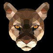 Vector illustration of puma's face consisting of triangles. Polygonal style