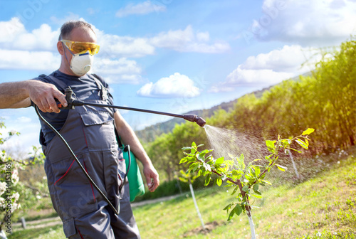 Fotografía gardener applying an insecticide, fertilizer to his fruit using a sprayer
