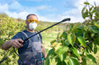  gardener applying an insecticide, fertilizer to his fruit  using a sprayer