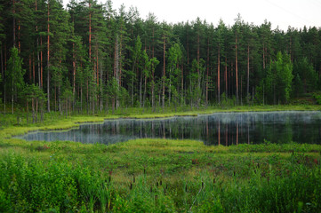  Forest lake