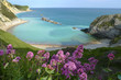 Man of War Bay near Durdle Door, Dorset, England UK The Jurassic coast a UNESCO World Heritage site