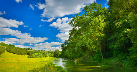 Wall Mural - River in summer countryside