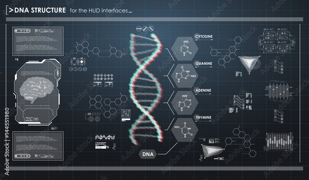 HUD infographic elements with DNA structure. Futuristic user interface ...
