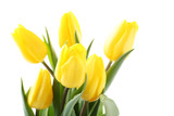 Fototapeta Tulipany - Bouquet of yellow tulips isolated on a white