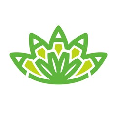 Wall Mural - lotus logo vector.