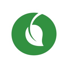 Wall Mural - letter o with leaf logo vector.
