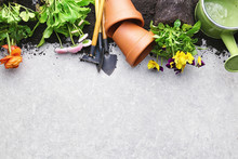 Composition With Flowers And Gardening Tools With Space For Text