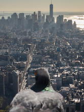 Pigeon Over Manhattan. New York