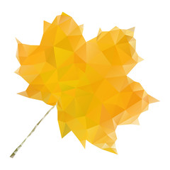 yellow maple leaf in low poly style