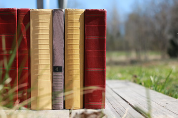 Wall Mural - books standing on a table