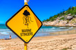 A sign on the beach to warn swimmers in Queensland Australia of marine stingers in the water