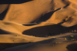 Abstract of a Sand dune.