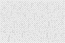 Vector Set Of Realistic Water Droplets On The Transparent Background.