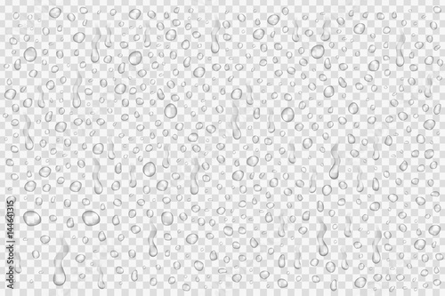 Vector set of realistic water droplets on the transparent background. © comicsans