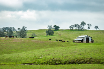 Barn on Hill