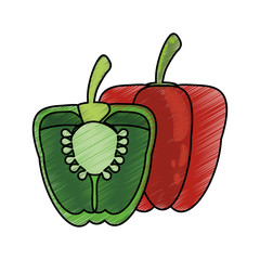 Sticker - drawing pepper half nutrition food vector illustration eps 10