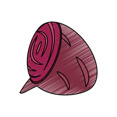 Sticker - drawing beetroot food nutrition vector illustration eps 10