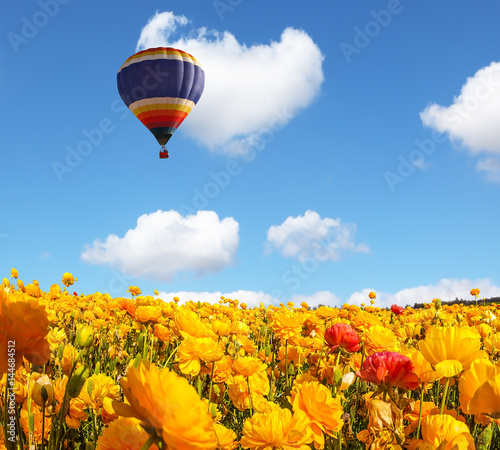 ogromny-balon-lecacy-nad-polem-zoltych-kwiatow