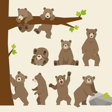 Baby Bear Various Poses Illustration Set