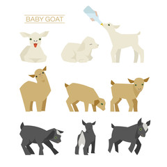 Wall Mural - baby goat illustration set
