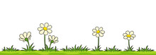 Flowers On A Meadow Against White Background