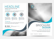 © tumindy - Brochure template flyer background for business design