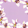 Floral background - white orchid flowers on violet paper texture. Hand painted aquarelle drawing