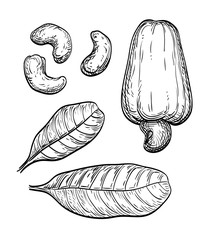 Wall Mural - cashew ink set.