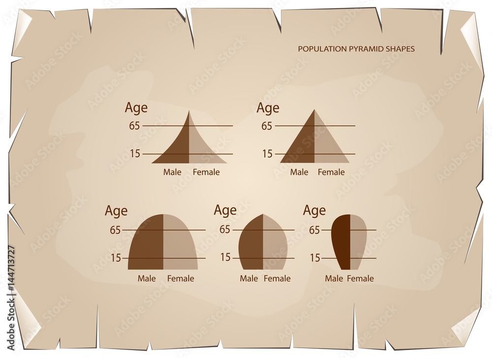 Different Types of Population Pyramids on Old Paper Background Stock ...