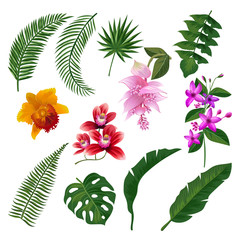 Sticker - Set of Tropical flowers bouquet. Vector illustration of leaves and branches