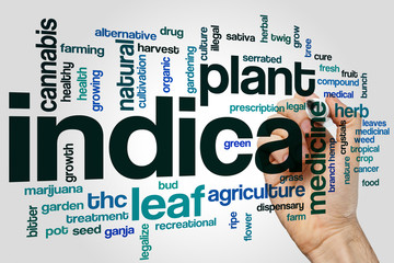 Wall Mural - Indica word cloud