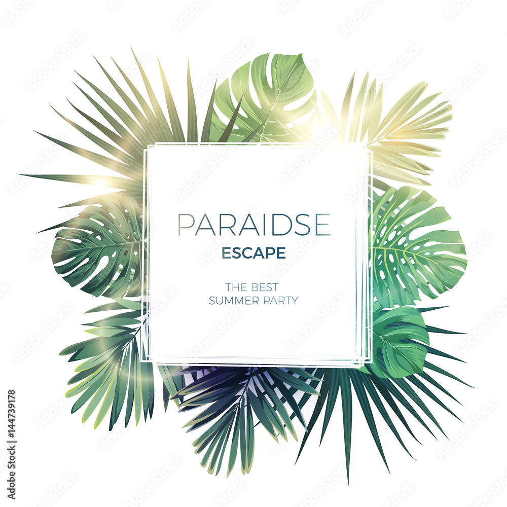 Green summer tropical background with exotic palm leaves and plants ...