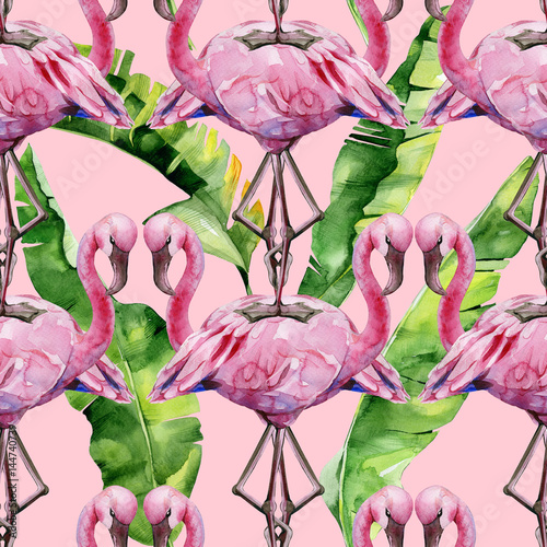 Watercolor illustration of tropical pink flamingo bird. Trendy artwork with t...