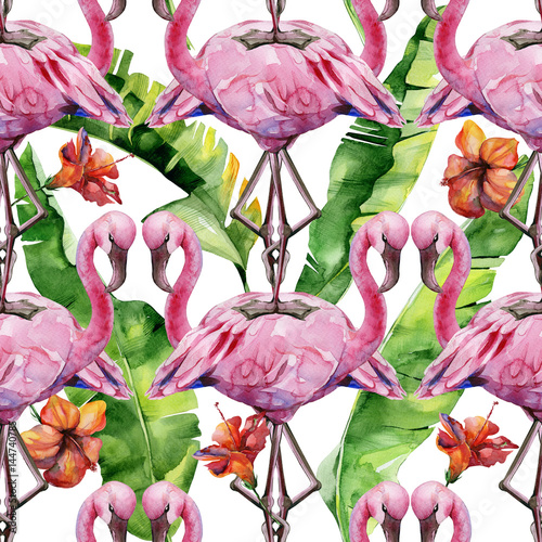Watercolor illustration of tropical pink flamingo bird. Trendy artwork with t...