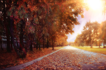 Wall Mural - blurred background path in autumn city park