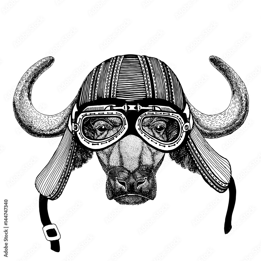 buffalo horns motorcycle helmet ParaWild Accessory: Stay Safe in Style, Red Bison Easily install Buffalo, bull, ox Hand drawn