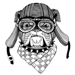 bulldog dog hand drawn image of animal wearing motorcycle helmet for t-shirt, tattoo, emblem, badge,