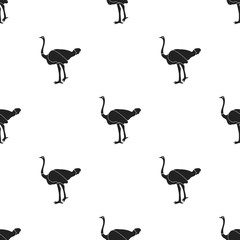 Wall Mural - Ostrich icon in black style isolated on white background. Bird pattern stock vector illustration.