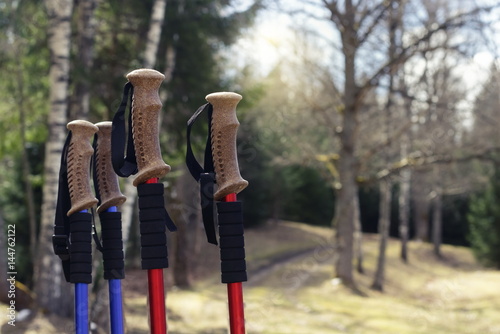 target walking poles