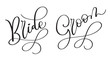 © timonko - Bride Groom Hand drawn vintage Vector text on white background. Calligraphy lettering illustration EPS10