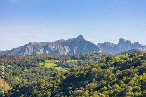 Fotografia, Obraz Crossing woodland and mountain pasture, to discover the nature of the foothills of the National Park Los Picos de Europa
