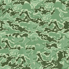 Camouflage Perfectly Seamless Texture 