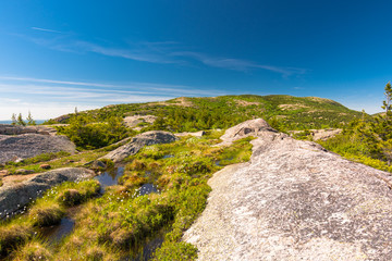 Wall Mural - Rock Marsh