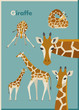 various poses giraffe flat design illustration set