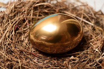 bird nest with traditional painted golden egg on wood, easter