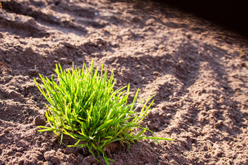 green grass against of plowed land